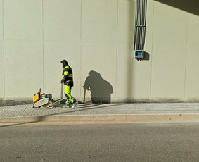 Aplinkos tvarkymas, apželdinimas - Trinkelių klojimas Kaune ir Kauno Rajone - 3