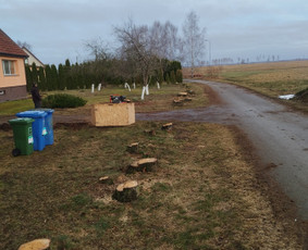 Tradiciniai amatai - Kelmų frezavimas &scaron;aku smulkintuvo nuoma - 4