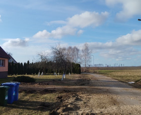 Tradiciniai amatai - Kelmų frezavimas &scaron;aku smulkintuvo nuoma - 3