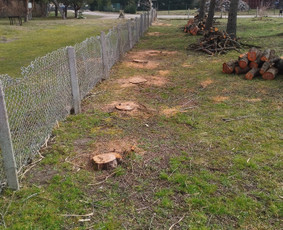 Tradiciniai amatai - Kelmų frezavimas &scaron;aku smulkintuvo nuoma - 2