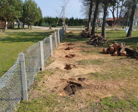 Tradiciniai amatai - Kelmų frezavimas &scaron;aku smulkintuvo nuoma - 1