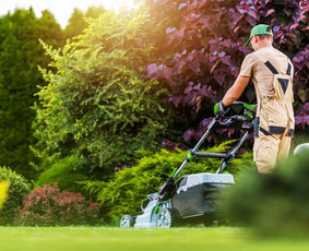 Žolės pjovimas - Siūlome profesionalias aplinkos tvarkymo paslaugas! - 3