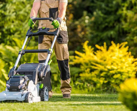 Vejos priežiūra, įrengimas - Siūlome profesionalias aplinkos tvarkymo paslaugas! - 2