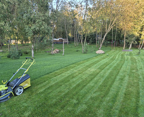 Vejos priežiūra, įrengimas - Skarifikavimas ir įrangos nuoma - 3