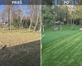 Vejos priežiūra, įrengimas - Skarifikavimas ir įrangos nuoma - 2