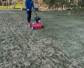 Vejos priežiūra, įrengimas - Skarifikavimas ir įrangos nuoma - 1