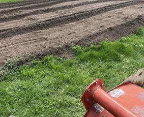 Žemės frezavimas - Visi žemės Kasimo darbai mini ekskavatoriumi - 1