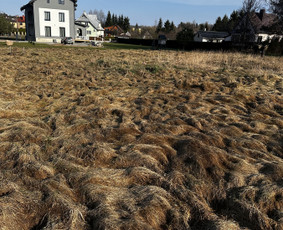 Žemės kasimas, lyginimas - Vik&scaron;rinio bobcat nuoma. žemes frezavimas - 2