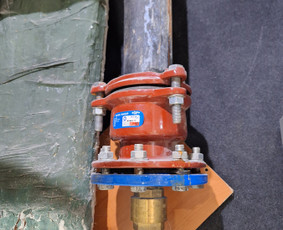 Gyvatuko pajungimas - Santechnikas Romik " Plumber Artist" - 1