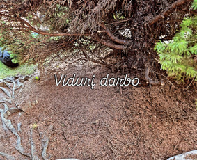 Genėjimas, pjovimas, sodinimas,aplinkos pilnas sutvarkymas / Gediminas Baumila / Darbų pavyzdys ID 4354359