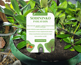 Genėjimas, pjovimas, sodinimas,aplinkos pilnas sutvarkymas / Gediminas Baumila / Darbų pavyzdys ID 4354365