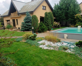 Genėjimas, pjovimas, sodinimas,aplinkos pilnas sutvarkymas / Gediminas Baumila / Darbų pavyzdys ID 4354371
