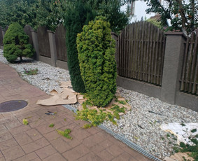 &Scaron;akų i&scaron;vežimas - Genėjimas, pjovimas, sodinimas,aplinkos pilnas sutvarkymas - 1