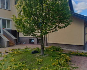 Alpinariumų, gėlynų įrengimas - Genėjimas, pjovimas, sodinimas,aplinkos pilnas sutvarkymas - 4