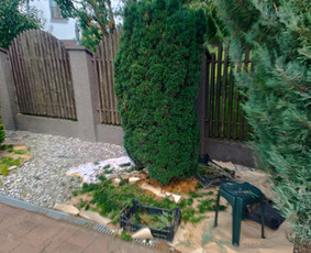 Alpinariumų, gėlynų įrengimas - Genėjimas, pjovimas, sodinimas,aplinkos pilnas sutvarkymas - 3