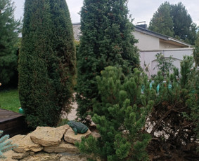 Statybos, apdaila - Genėjimas, pjovimas, sodinimas,apl tvarkymas - 2