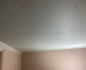 Gipso kartono montavimas - Mb Kenėja &ndash; Statybos ir apdailos darbai - 1