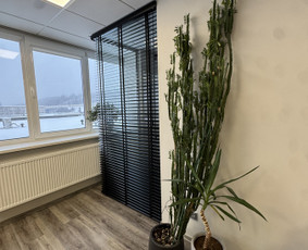 Statybos, apdaila - Roletai ir žaliuzės - 1