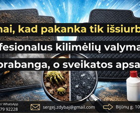 Transportas - Profesionalus automobilio plovymas, salono valymas Klaipėda - 2