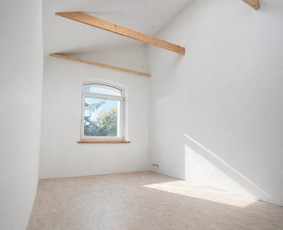 Statybos darbai - Apdailos darbai &ndash; nuo paruo&scaron;imo iki dažymo - 1