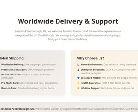 Interneto svetainių priežiūra - Core Software Engineering Services - 2