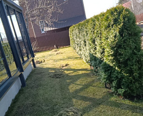 Kokybiškas aplinkos tvarkymas / Aplinkos pulsas / Darbų pavyzdys ID 4357097