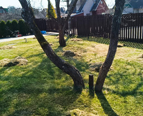 Kokybiškas aplinkos tvarkymas / Aplinkos pulsas / Darbų pavyzdys ID 4357099