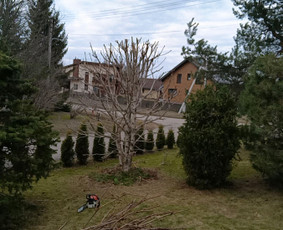Kokybiškas aplinkos tvarkymas / Aplinkos pulsas / Darbų pavyzdys ID 4357103