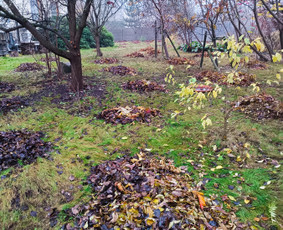 Kokybiškas aplinkos tvarkymas / Aplinkos pulsas / Darbų pavyzdys ID 4357131