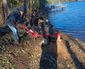 Kokybiškas aplinkos tvarkymas / Aplinkos pulsas / Darbų pavyzdys ID 4357157