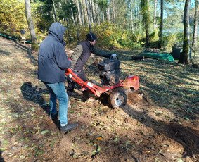Kokybiškas aplinkos tvarkymas / Aplinkos pulsas / Darbų pavyzdys ID 4357163