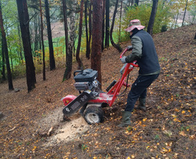 Kokybiškas aplinkos tvarkymas / Aplinkos pulsas / Darbų pavyzdys ID 4357165