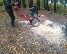Kokybiškas aplinkos tvarkymas / Aplinkos pulsas / Darbų pavyzdys ID 4357167