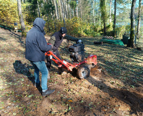 Kokybiškas aplinkos tvarkymas / Aplinkos pulsas / Darbų pavyzdys ID 4357169