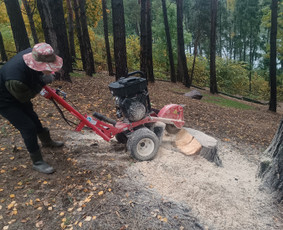 Kokybiškas aplinkos tvarkymas / Aplinkos pulsas / Darbų pavyzdys ID 4357171