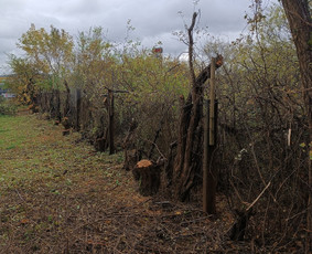 Kokybiškas aplinkos tvarkymas / Aplinkos pulsas / Darbų pavyzdys ID 4357173