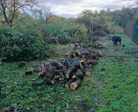 Kokybiškas aplinkos tvarkymas / Aplinkos pulsas / Darbų pavyzdys ID 4357175