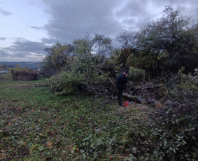 Kokybiškas aplinkos tvarkymas / Aplinkos pulsas / Darbų pavyzdys ID 4357177