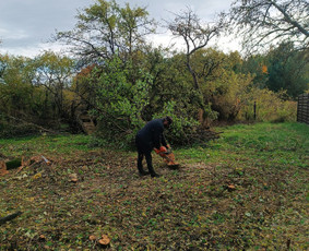 Kokybiškas aplinkos tvarkymas / Aplinkos pulsas / Darbų pavyzdys ID 4357179