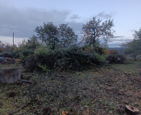 Kokybiškas aplinkos tvarkymas / Aplinkos pulsas / Darbų pavyzdys ID 4357181