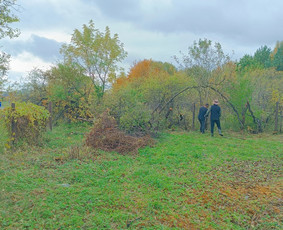 Kokybiškas aplinkos tvarkymas / Aplinkos pulsas / Darbų pavyzdys ID 4357183