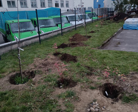 Kokybiškas aplinkos tvarkymas / Aplinkos pulsas / Darbų pavyzdys ID 4357187