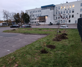 Kokybiškas aplinkos tvarkymas / Aplinkos pulsas / Darbų pavyzdys ID 4357191