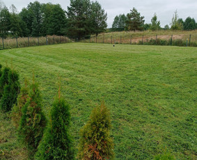 Kokybiškas aplinkos tvarkymas / Aplinkos pulsas / Darbų pavyzdys ID 4357195