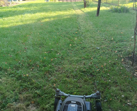 Kokybiškas aplinkos tvarkymas / Aplinkos pulsas / Darbų pavyzdys ID 4357199