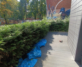Kokybiškas aplinkos tvarkymas / Aplinkos pulsas / Darbų pavyzdys ID 4357223