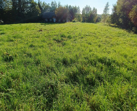 Kokybiškas aplinkos tvarkymas / Aplinkos pulsas / Darbų pavyzdys ID 4357233
