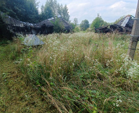 Kokybiškas aplinkos tvarkymas / Aplinkos pulsas / Darbų pavyzdys ID 4357235