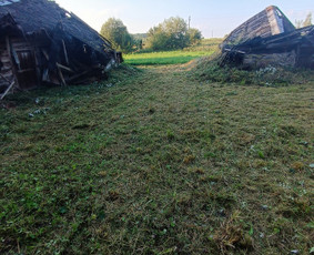 Kokybiškas aplinkos tvarkymas / Aplinkos pulsas / Darbų pavyzdys ID 4357237
