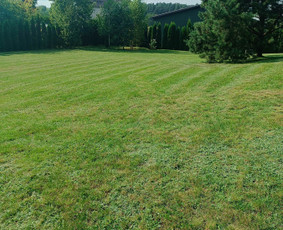 Kokybiškas aplinkos tvarkymas / Aplinkos pulsas / Darbų pavyzdys ID 4357239